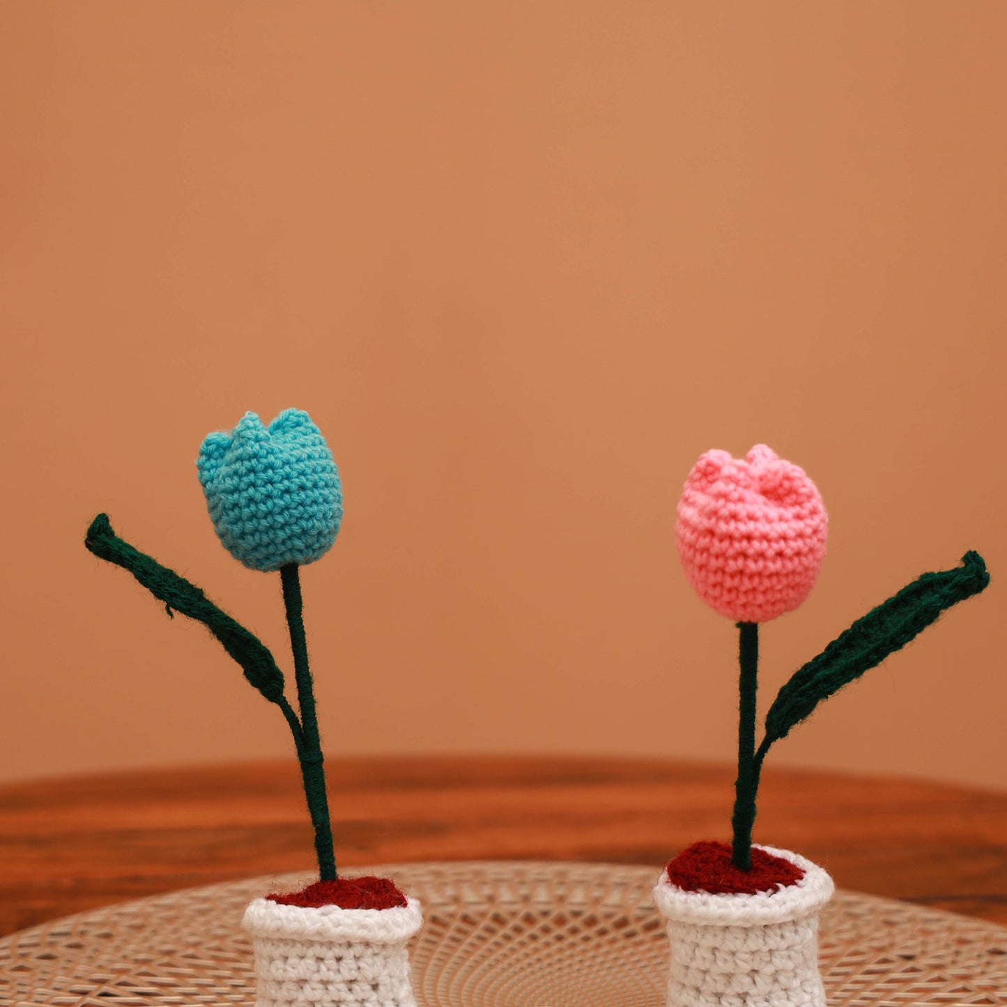 Handmade crochet flower pots (set of 2) 25 - handcrafted