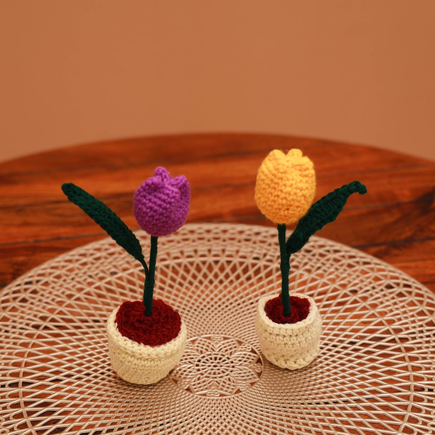 Handmade crochet flower pots (set of 2) 27 - handcrafted