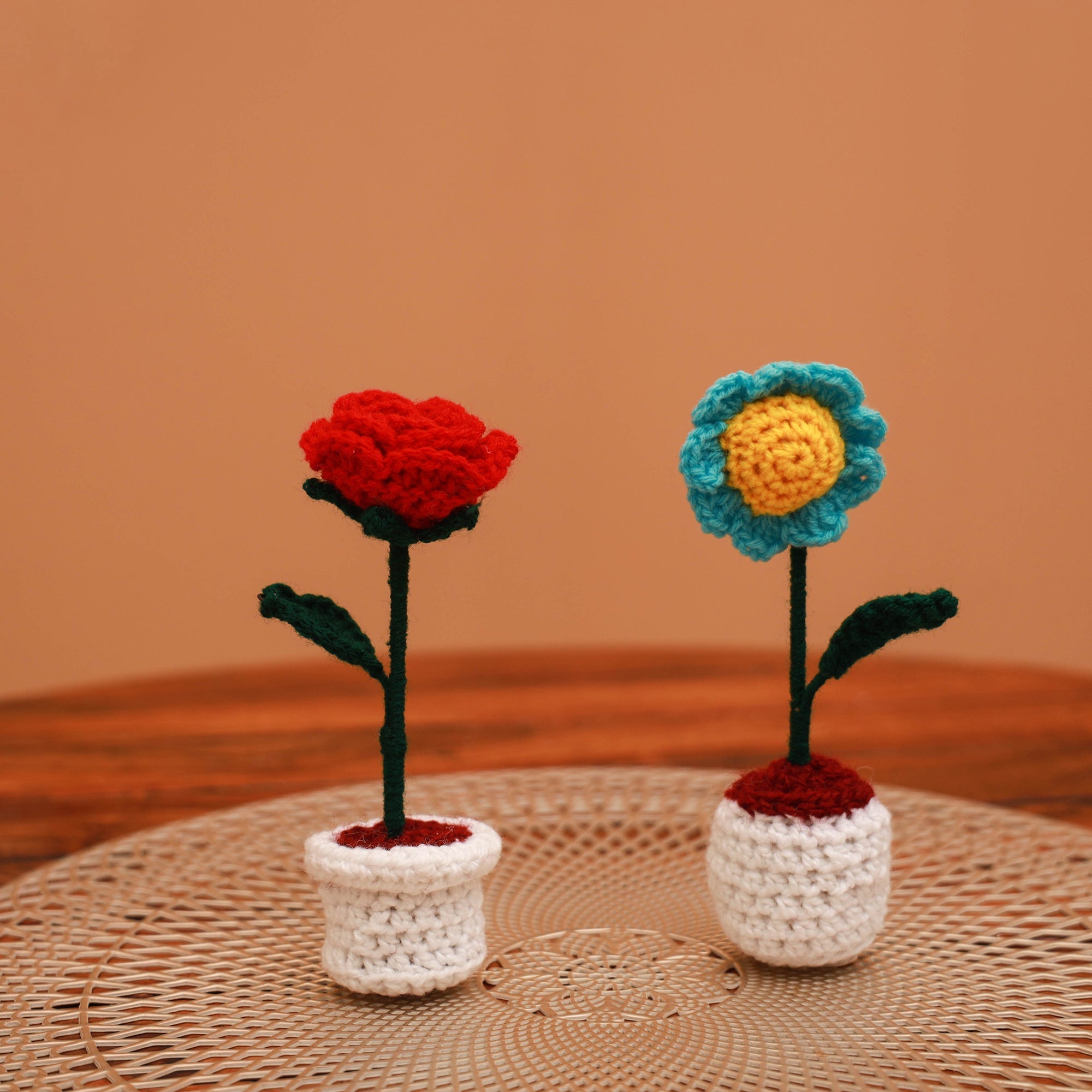 Handmade crochet flower pots (set of 2) 28 - handcrafted