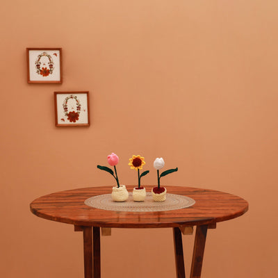 Handmade crochet flower pots (set of 3) 29 - handcrafted