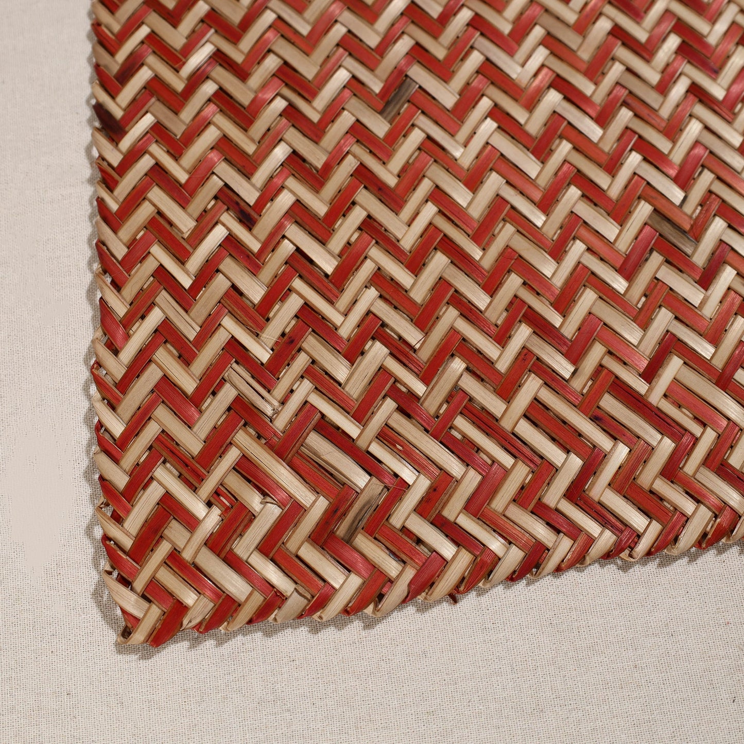 Multicolor Handmade Water Hyacinth Placemat from Assam (20 x 13 in)