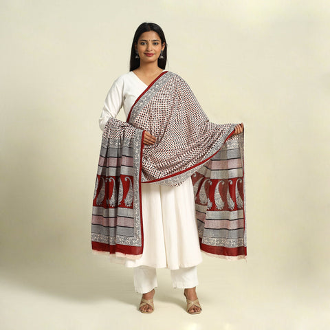 Multicolor - natural dye mul cotton bagh dupatta 10