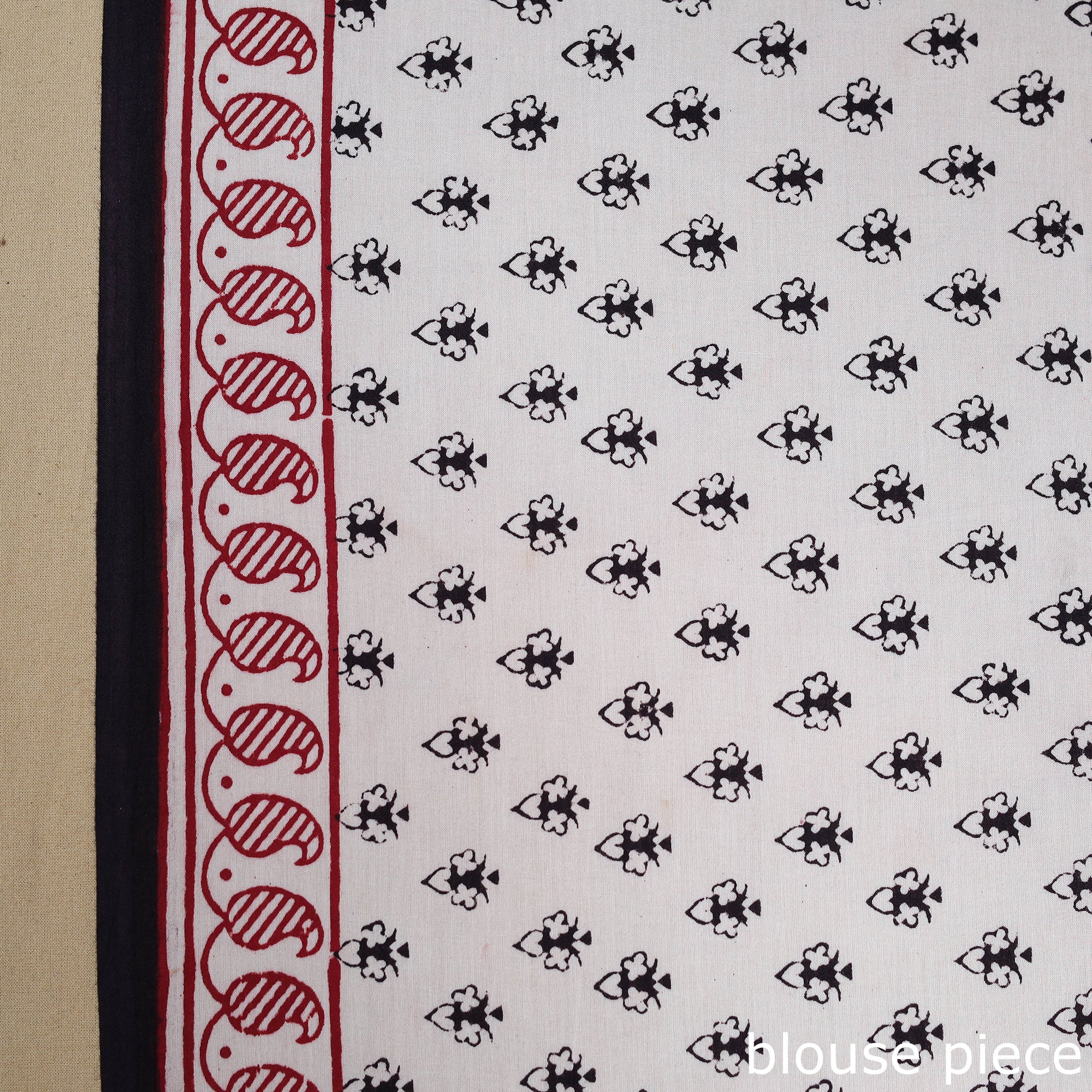 Multicolor Block Print Natural Dyed Cotton Bagh Saree