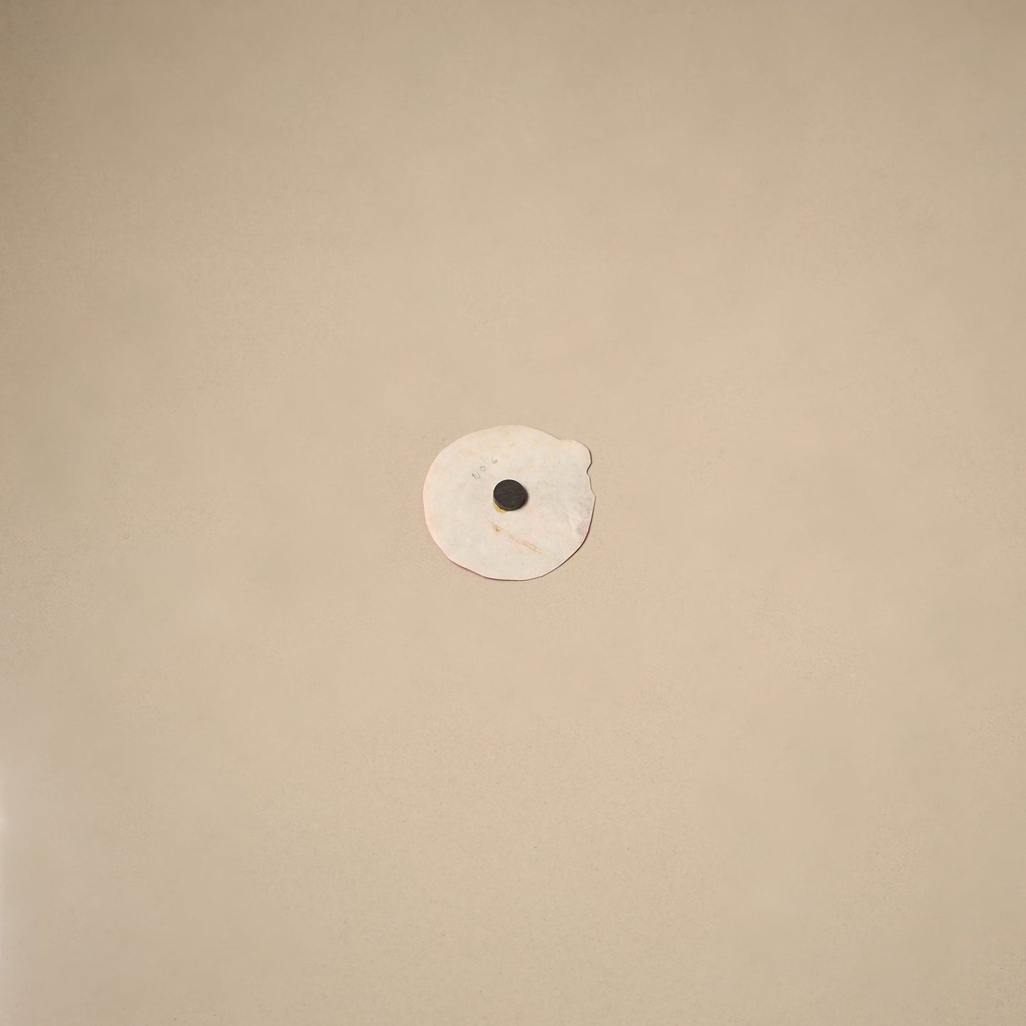 Peacock with flower - tholu bommalata leather puppet fridge