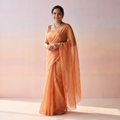 Peach Nazaakat Kota Doria Cotton Plain Saree with Blouse & Jewellery Set, draped and worn by a woman, AI visual of the saree, iTokri