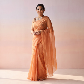 Peach Nazaakat Kota Doria Cotton Plain Saree with Blouse & Jewellery Set, draped and worn by a woman, AI visual of the saree, iTokri