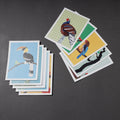  North-East Birds Collection Postcards - Set of 10 