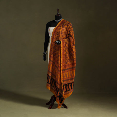 Buy Bagh Block Printed Chanderi Silk Dupatta 49 Online at iTokri.com
