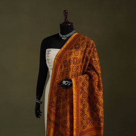 Buy Bagh Block Printed Chanderi Silk Dupatta 49 Online at iTokri.com