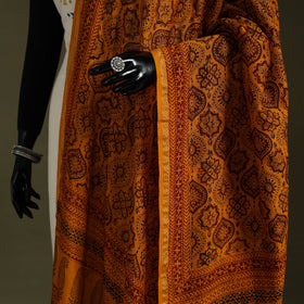 Buy Bagh Block Printed Chanderi Silk Dupatta 49 Online at iTokri.com