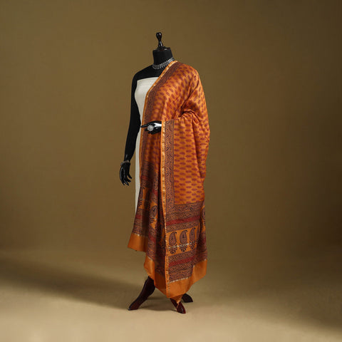 Orange - natural dyed printed chanderi silk bagh dupatta 26