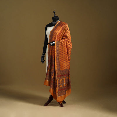 Orange - natural dyed printed chanderi silk bagh dupatta 26