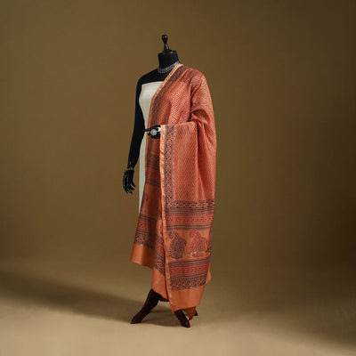 Orange - natural dyed printed chanderi silk bagh dupatta 27