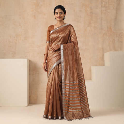 Brown Pure Handloom Zari Stripes Katan Silk Chanderi Saree, draped and worn by a woman, AI visual of the saree, iTokri