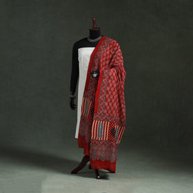 Chanderi silk kutch hand block print natural dyed handloom