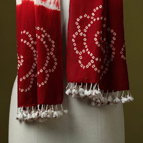 Kutch handwoven merino wool shibori & bandhani stole 48