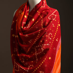 Kutch mirror work handwoven bandhani bagida woolen shawl 14