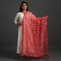 Red - lucknow chikankari tepchi embroidery georgette
