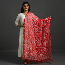 Red - lucknow chikankari tepchi embroidery georgette