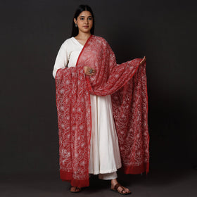  Lucknow Chikankari Tepchi Embroidery Georgette Dupatta 