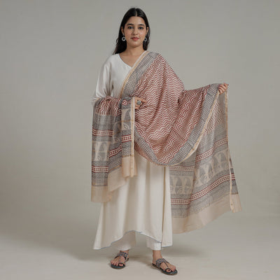 Buy Block Printed Chanderi Silk Bagh Dupatta