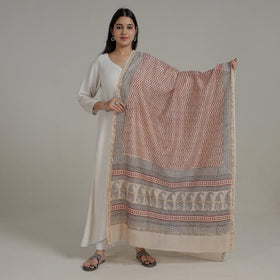 Buy Block Printed Chanderi Silk Bagh Dupatta
