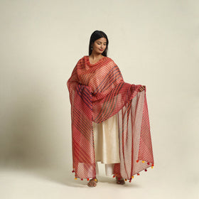 Red - tie & dye mothra kota doria cotton leheriya dupatta