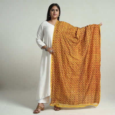  Bengal Kantha Embroidery Block Printed Silk Handloom Dupatta 17 