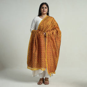  Bengal Kantha Embroidery Block Printed Silk Handloom Dupatta 17 