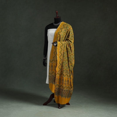 Chanderi silk kutch hand block print natural dyed handloom