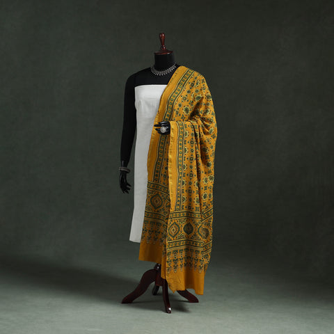 Chanderi silk kutch hand block print natural dyed handloom