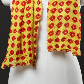  Kutch Tie & Dye Cotton Bandhani Stole