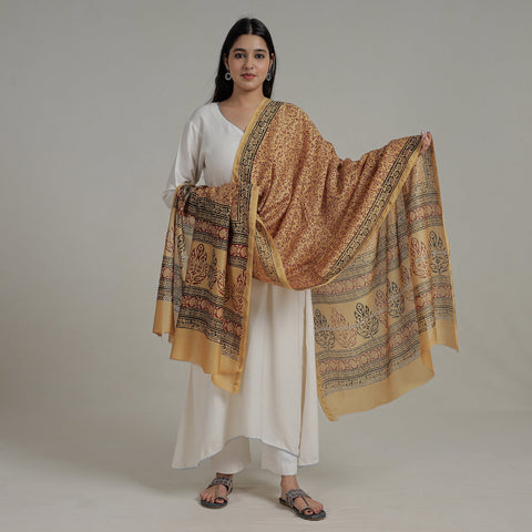 Buy Block Printed Chanderi Silk Bagh Dupatta