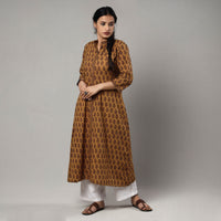 Bagh Printed kurta