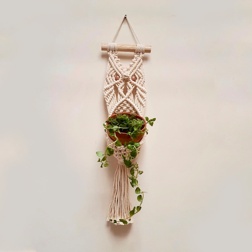 Macrame Plant Hanger