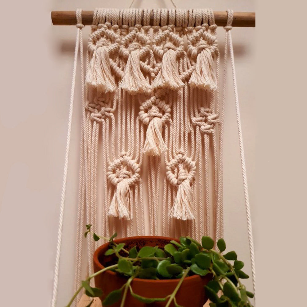 Macrame Plant Hanger