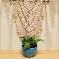 Macrame Plant Hanger