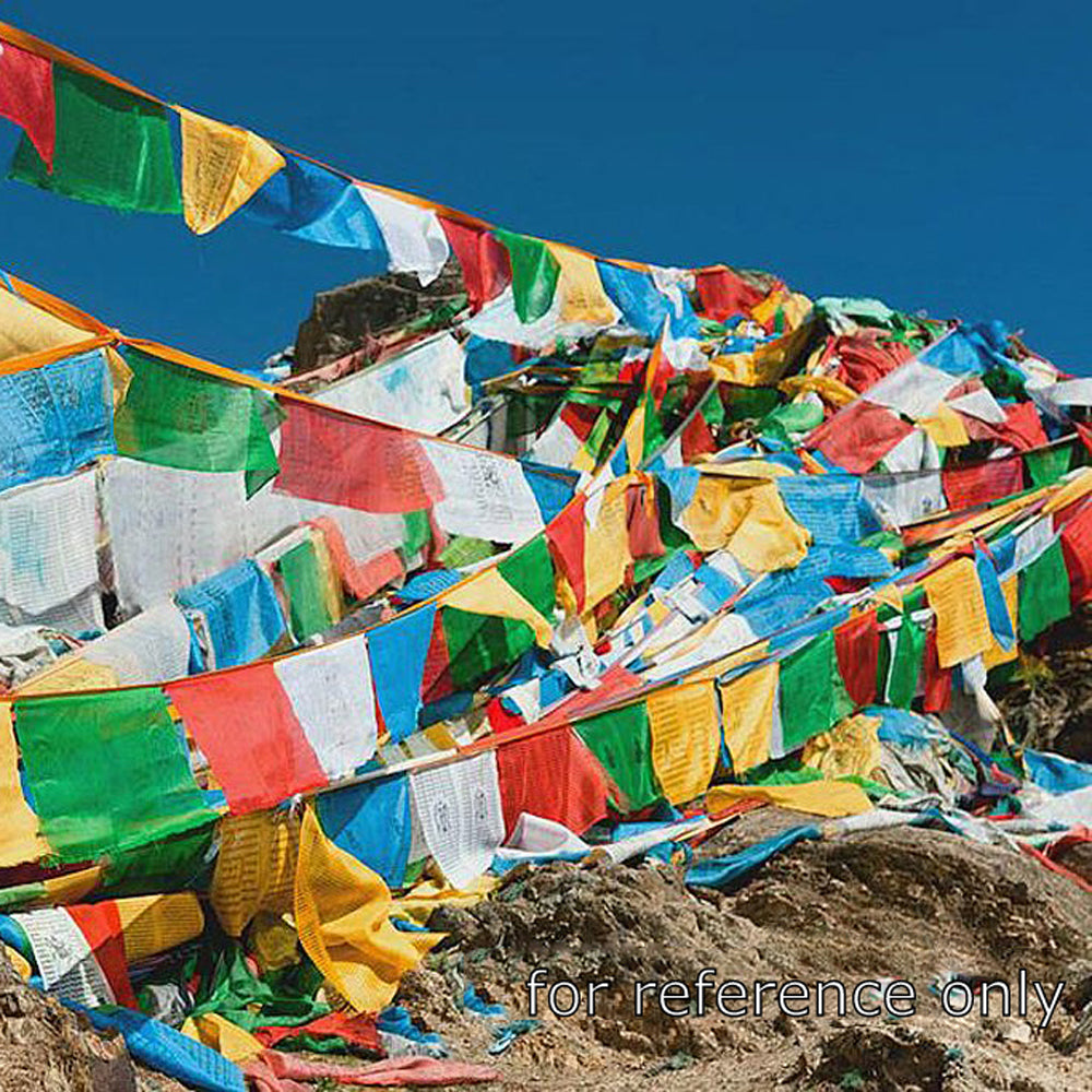 Tibetan Prayer Flag - Handmade in Himalayas - Lung Ta Wind Horse (Small)
