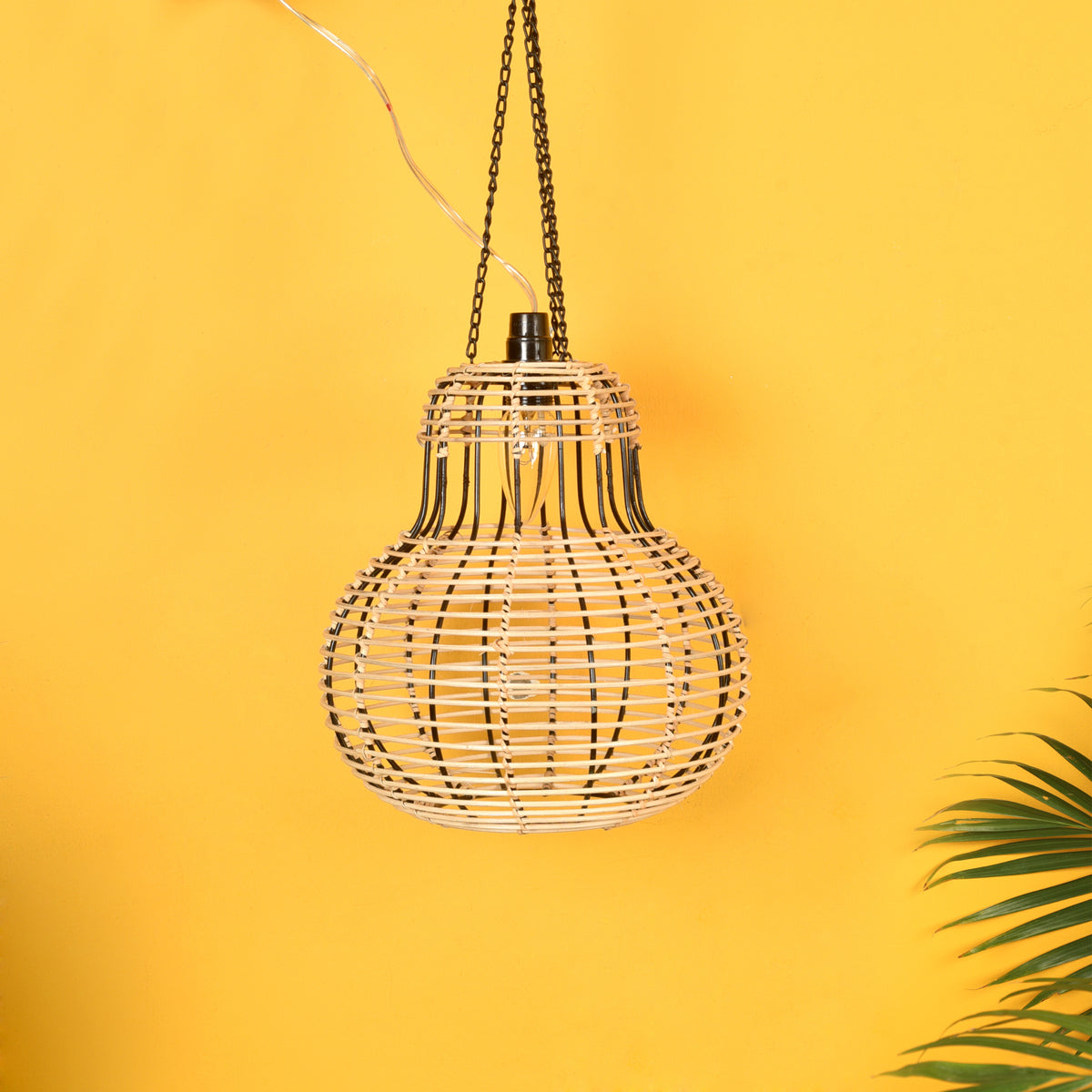 Hanging Wall Lamp
