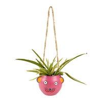 Terracotta Hanging Planter