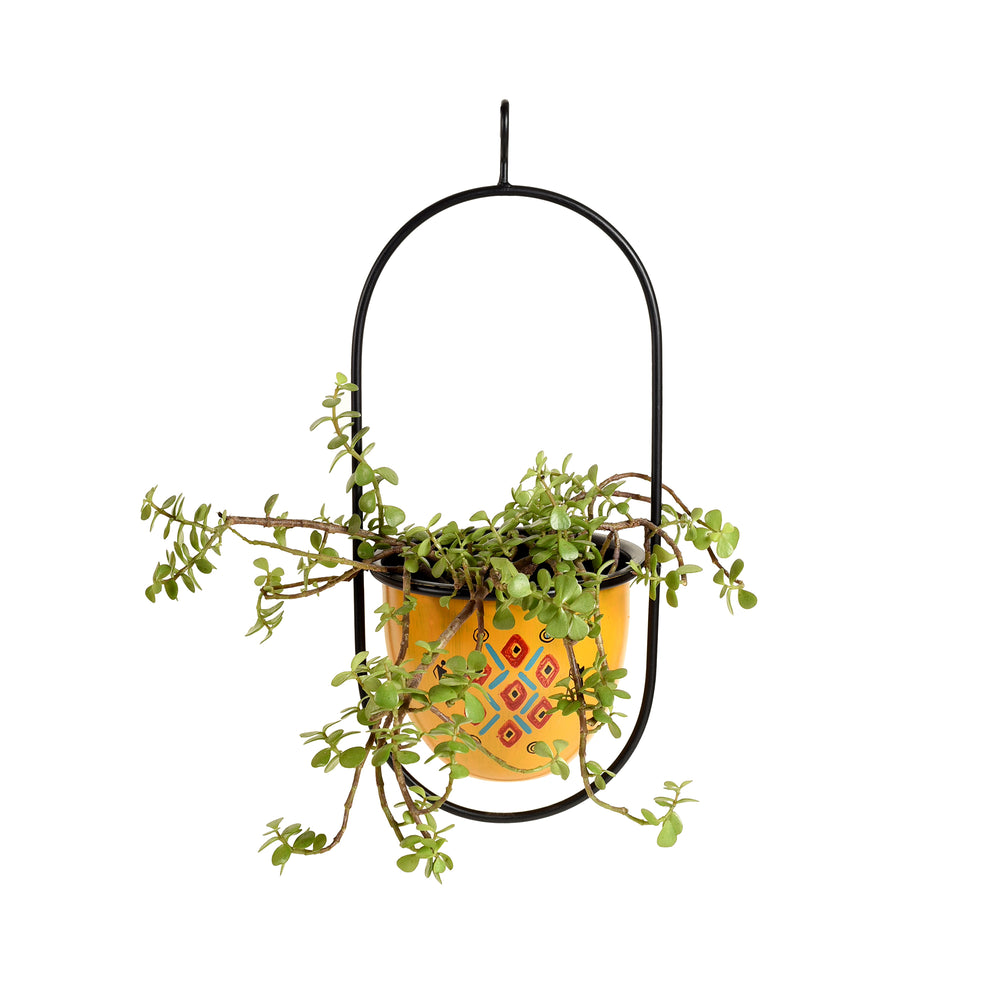 Metal Hanging Planter