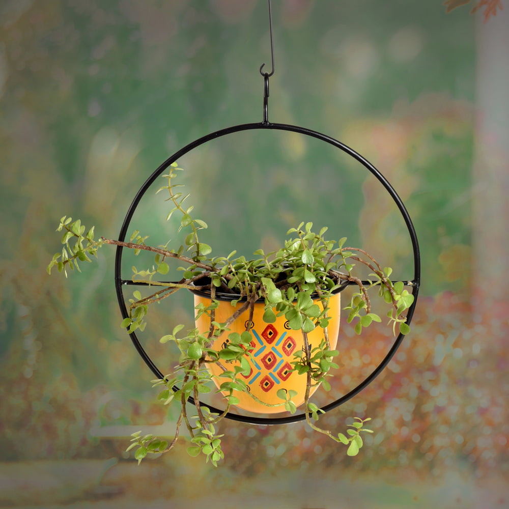 Hanging Planter 