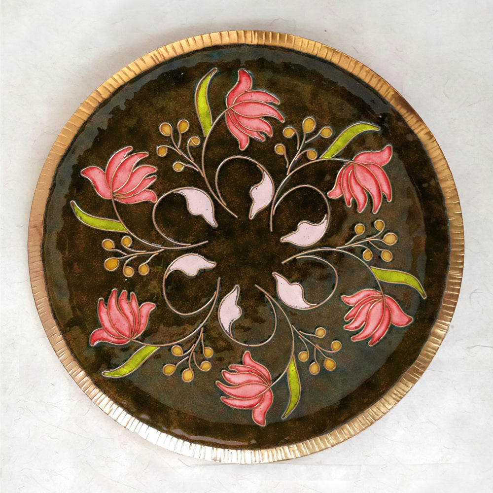 Enamel Wall Plate