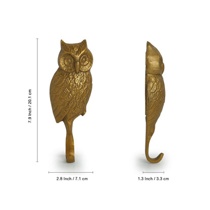 'The Ever-Wise Owl' Rustic Aluminium Wall Decor & Wall Hook (8 Inch)