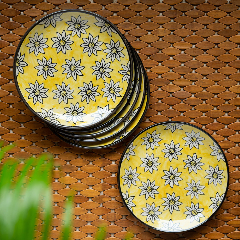 Ceramic Plate set