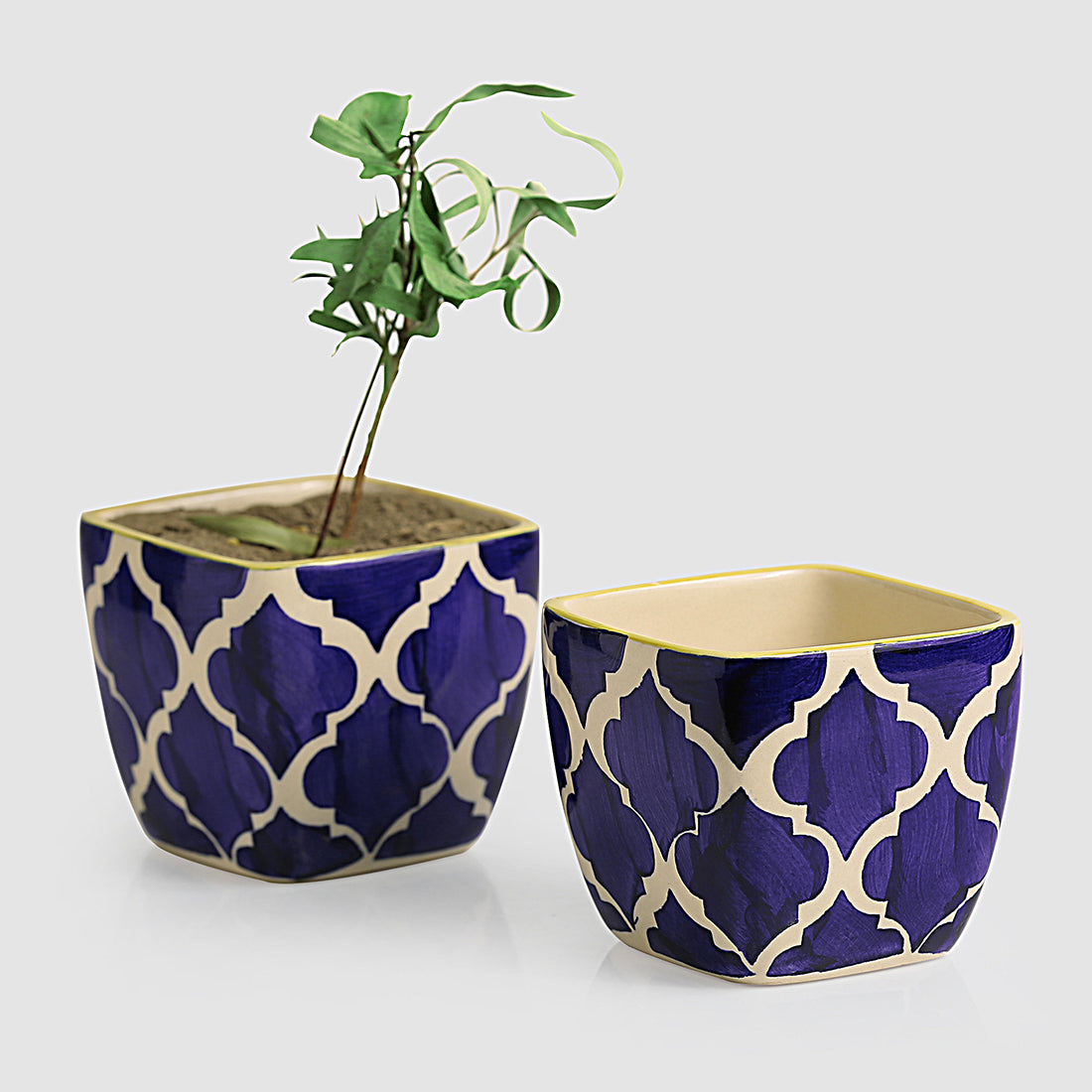 Ceramic Planters