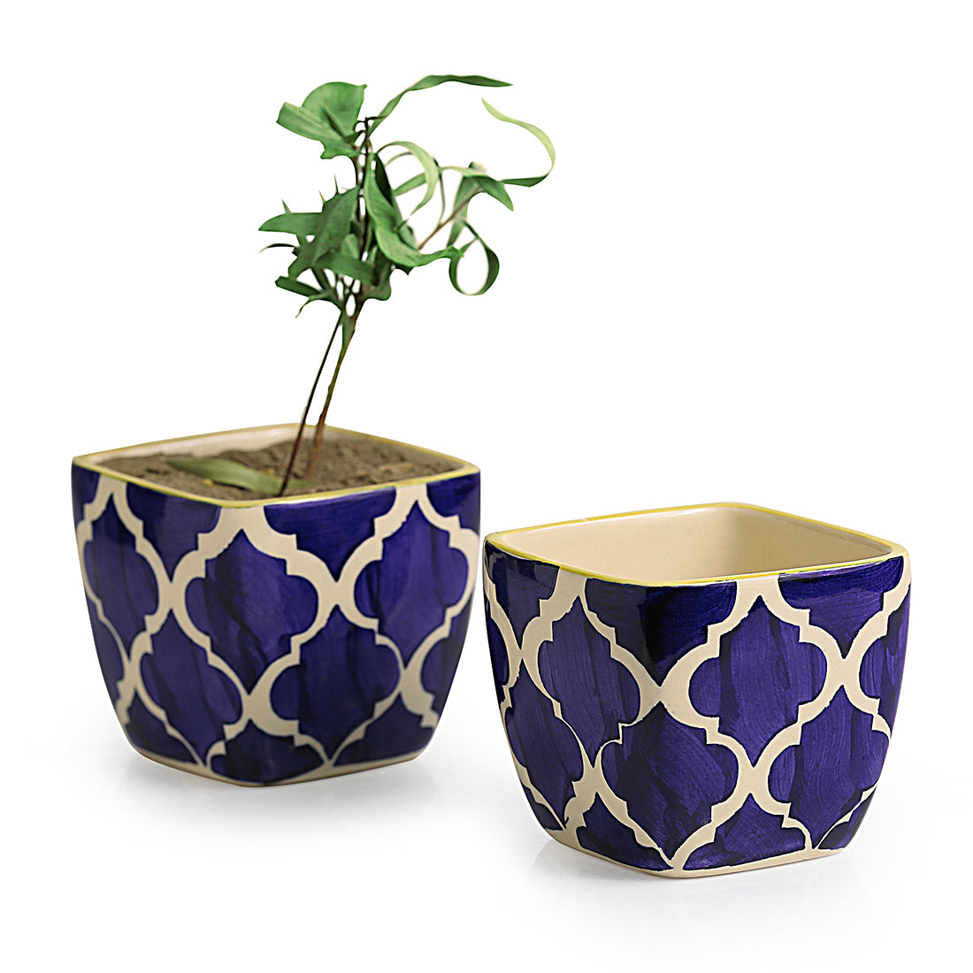 Ceramic Planters