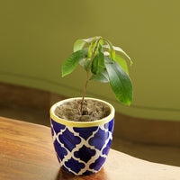 Ceramic Planter Pot
