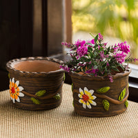 Terracotta Planter Pots