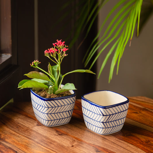 Ceramic Planter Pots
